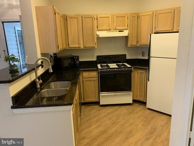 13085 Autumn Woods Way unit 105, Fairfax, VA 22033 - photo 7