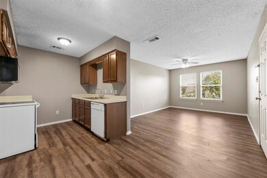 319 SE 3rd St unit 203, Grand Prairie, TX 75051 - photo 6