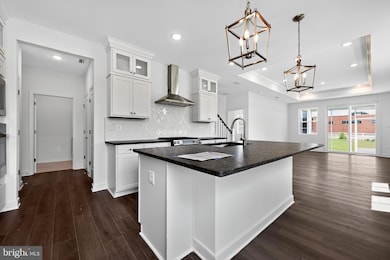 19709 Crows Nest Ct W, Millsboro, DE 19966 - photo 3