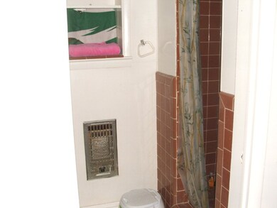 Shower in Master