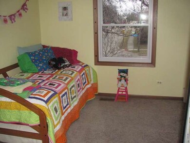 11617 Davey Dr unit A, Huntley, IL 60142 - photo 6