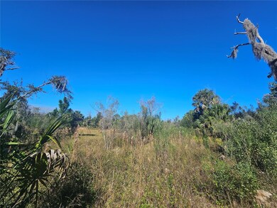 786 Fort Florida Rd, Debary, FL 32713 - photo 2