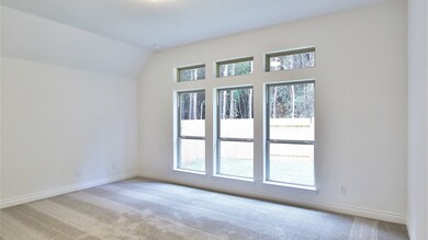 17118 Mystic River Ln, Conroe, TX 77302 - photo 4