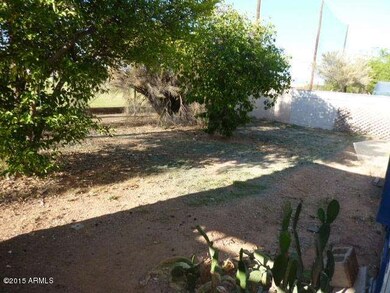 023-206032 Backyard