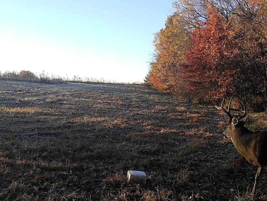 000 C Hwy, Albany, MO 64402 - photo 4