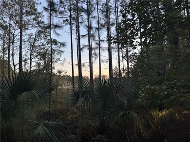 Lot 357 Wood Stork Way, Waverly, GA 31565 - photo 5