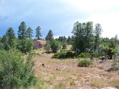 Apache Trail  Homesite?