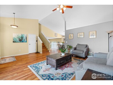 3325 Wigwam Way, Wellington, CO 80549 - photo 5