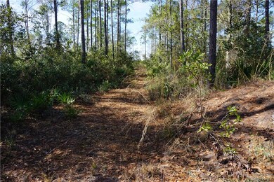 Road which runs along border of property.  Road re