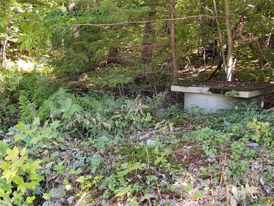 TM 55-2-5 Middle Rd, Center Tuftonboro, NH 03816 - photo 4