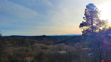 W Durango Ridge Rd, Durango, CO 81301 - photo 4
