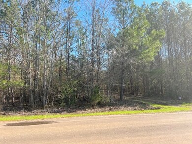 2004 County Road 915, Nacogdoches, TX 75964 - photo 7