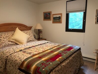 8 Winhall Acres Rd unit E1, Winhall, VT 05340 - photo 5