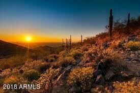 sonoranpreservesunset
