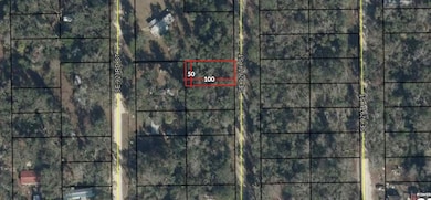 TBD SE 926th St, Old Town, FL 32680 - photo 2