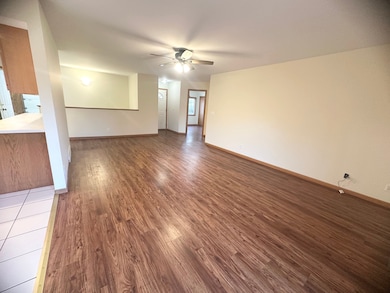 1151 Mary Ct, Dekalb, IL 60115 - photo 5