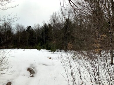 0 State Route 13 unit S1313433, Albion, NY 13302 - photo 6