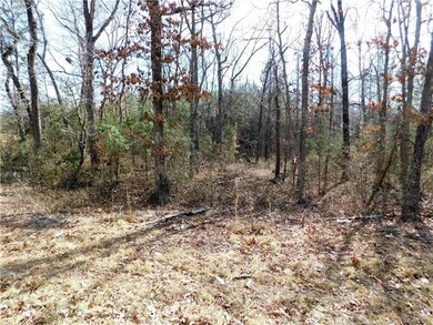 Lot 4 Furnace Rd, Lincolnton, NC 28092 - photo 3