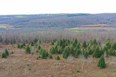 0WP Wothe-Freeman Rd, Deruyter, NY 13052 - photo 3