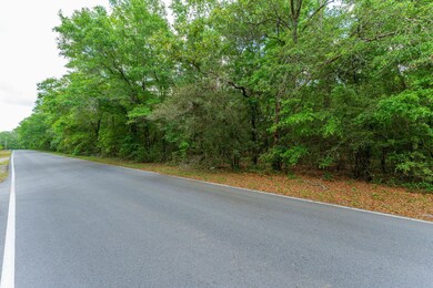 5.31 ac xx John Nix Rd, Crestview, FL 32539 - photo 5