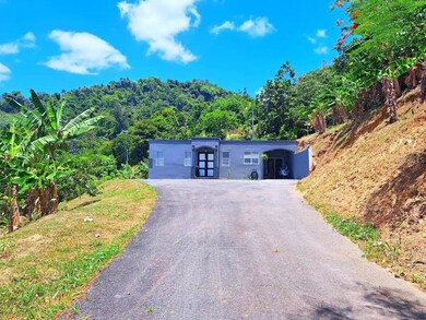 BO GUADIANA Sector Espinel Carretera 829 Km 4 3 Int, Naranjito, PR 00719 - photo 2