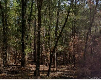 857 E Toledo Dr, Citrus Springs, FL 34434 - photo 5