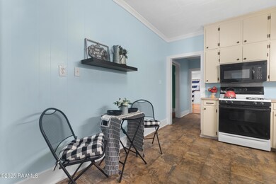 203 5th St, Abbeville, LA 70510 - photo 5