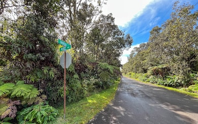 0 Ruby Ave, Volcano, HI 96785 - photo 6
