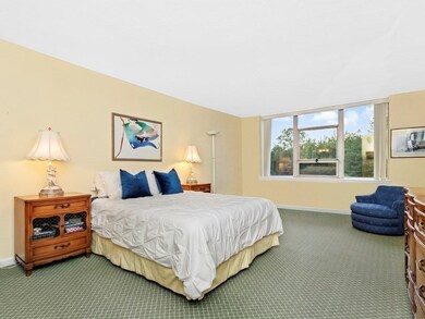 Imperial Towers unit 311, Chestnut Hill, MA 02467 - photo 5