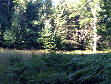 photo (2)