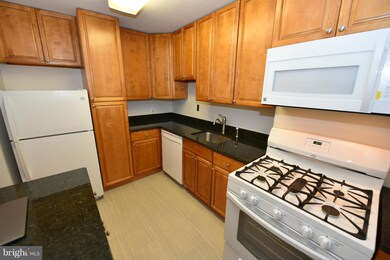 1111 University Blvd W unit 317, Silver Spring, MD 20902 - photo 6