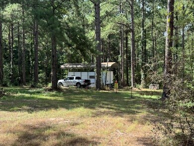 273 Edgar Holmes Rd, Tylertown, MS 39667 - photo 3