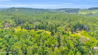 DJI_20250626030045_0207_D (1)