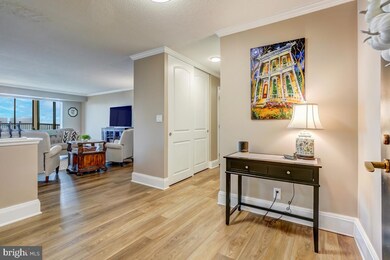 5901 Mount Eagle Dr unit 918, Alexandria, VA 22303 - photo 3