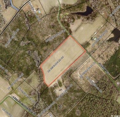 TBD Buddy Rd, Hemingway, SC 29554 - photo 2