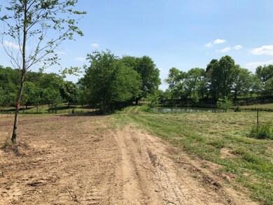 Potential view from your new home!