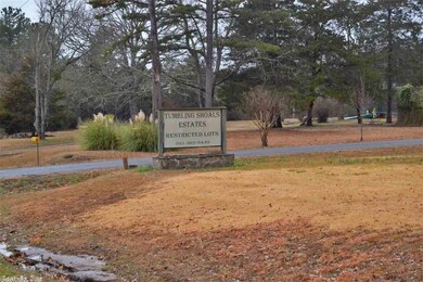 Lot 2 A Old Highway 25, Tumbling Shoals, AR 72581 - photo 7