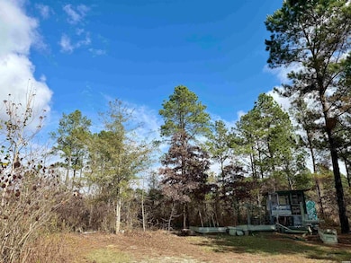 2470 Arkansas 84, Amity, AR 71921 - photo 6