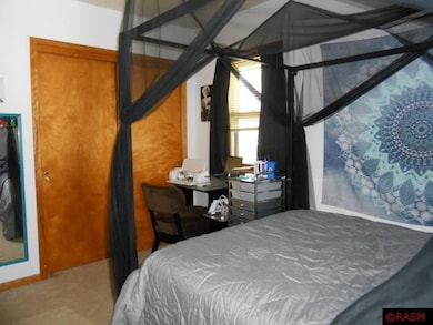 419 N Franklin St, New Ulm, MN 56073 - photo 6