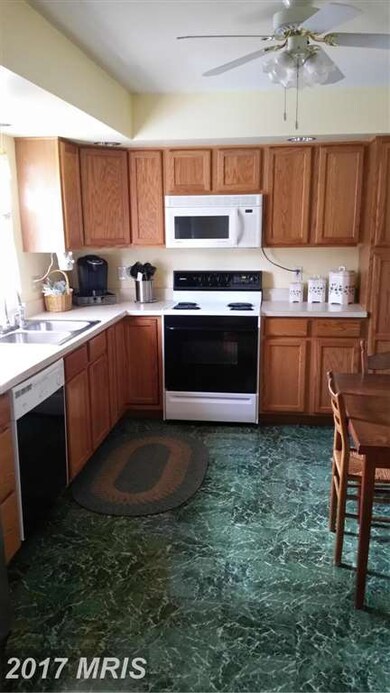 804 E D St, Brunswick, MD 21716 - photo 7