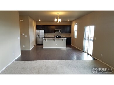 6259 Oak Grove St, Timnath, CO 80547 - photo 6