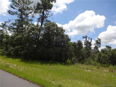 0 SW 175th Loop unit 775011, Ocala, FL 34473 - photo 5