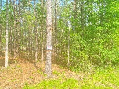 0 Quinlivan Rd, McComb, MS 39648 - photo 5