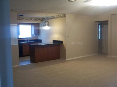 unlisted-address, Tavares, FL 32778 - photo 5