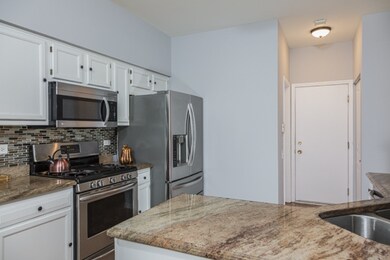 1521 Spaulding Rd unit 455, Bartlett, IL 60103 - photo 5