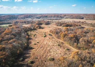 Tbd Sw 875 St, Jerseyville, IL 62052 - photo 4