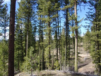 Wooded Parcel