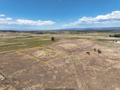 115 S Oro Place, Norwood, CO 81423 - photo 5