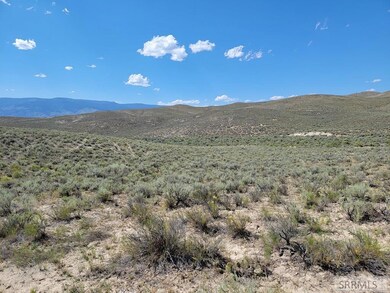Lot 2 Gold Valley Dr unit Lot 2, Salmon, ID 83467 - photo 4