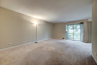 50 Plymouth Ct unit 5102B, Naperville, IL 60565 - photo 7